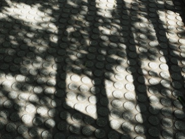 Abstract tree shadows at La Villette - Paris, September 2015