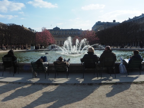 Early magnolias - Palais Royal - March 2016