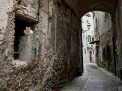 Ventimiglia Alta street view with cat
