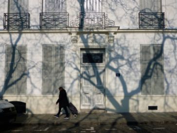 A shadow portrait of a leafless, winter tree - Paris, February 2018